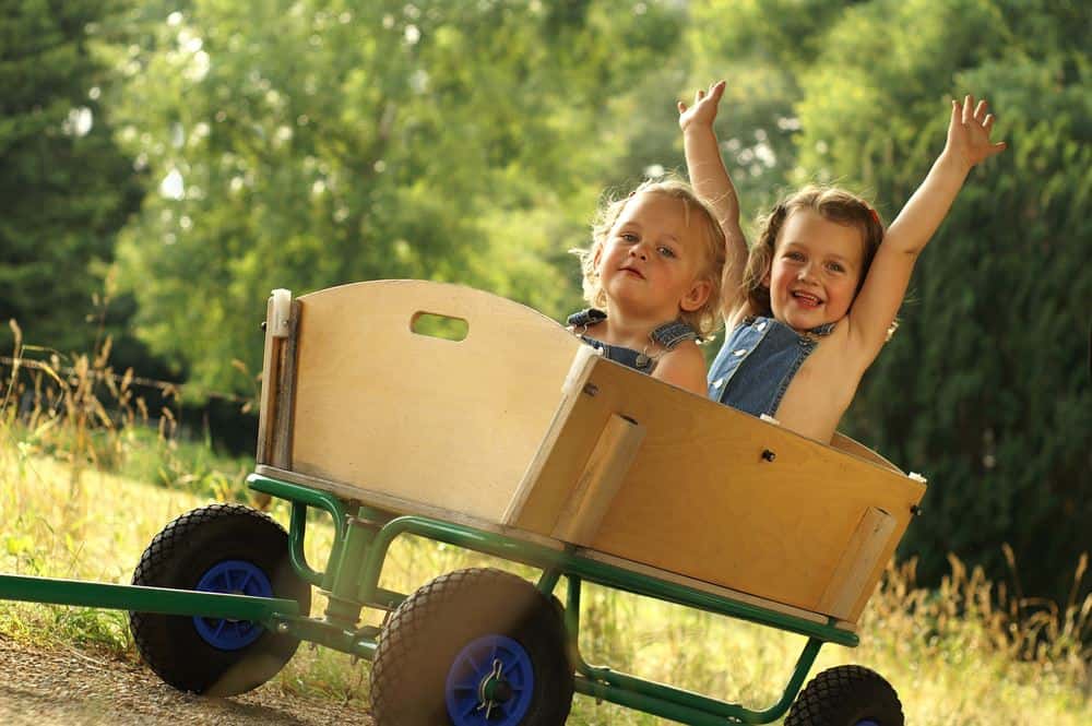 5 Best Wagons For Kids You Can Buy in 2019 | Kids wagon