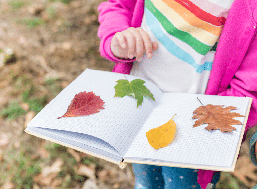 Mindful Fall Activities for Kids